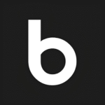 Top 10 agencia de branding en Chile: identidad y estrategia que inspiran 6 Logo Bigbuda
